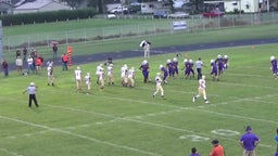 Harrisburg football highlights Mt. Carmel