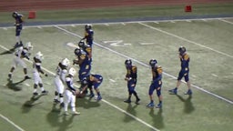 Madison football highlights Venus High School