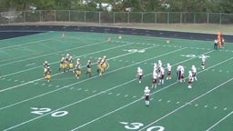 Harrison football highlights vs. Seaholm High School