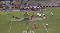Mike Williams's highlights Lee High School