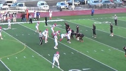 Powell football highlights Douglas High School