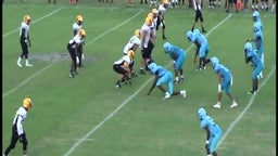 Palmetto football highlights vs. Sunset High School