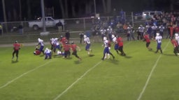 Dansville football highlights vs. Bath-Haverling