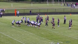 Grass Lake football highlights Napoleon High School