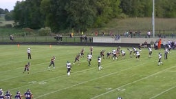 Grass Lake football highlights Napoleon High School