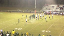 Jonathan Giacomucci's highlights Pine Forest