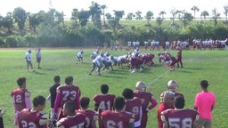 South Miami football highlights Goleman High School