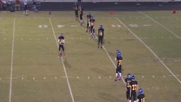 Deandre Mcfadden's highlights MARTIN COUNTY (16-17)