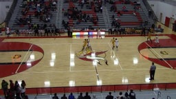 Sycamore basketball highlights vs. Princeton
