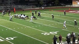 Palmetto Ridge football highlights vs. Pembroke Pines