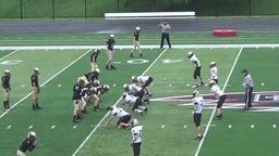 Colten Kocour's highlights black and Gold