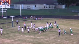 Danville football highlights Lamar High School