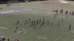 Archbishop Stepinac football highlights Iona Prep