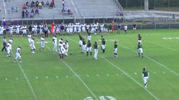 Shawn Petty's highlights Pine Forest