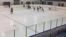 Burnsville girls ice hockey highlights vs. Rosemount High