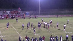 Palm Harbor University football highlights vs. Dunedin