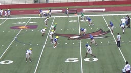 Charles Williams's highlights Camp 2018