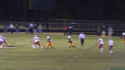 Nidarius Alexander's highlights vs. Glynn Academy